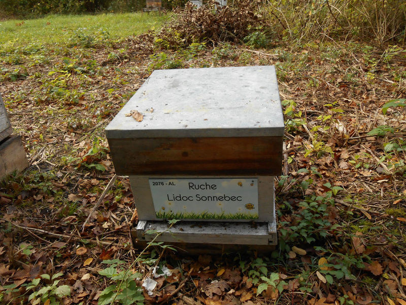 La ruche Lidoc Sonnebec